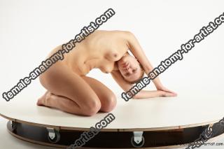 Various reference of Irma